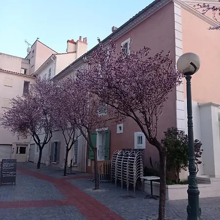 T2 Tres Lumineux, Bord De Apartment Six-Fours-les-Plages